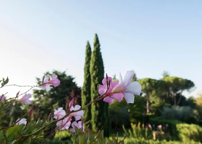 Hébergement de vacances Borgo Risi *
