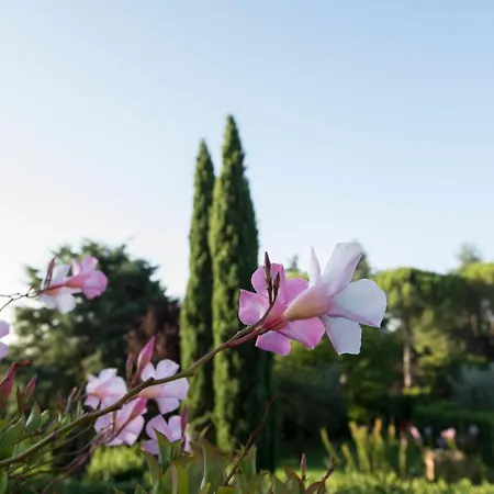 Semesterbostad Borgo Risi *