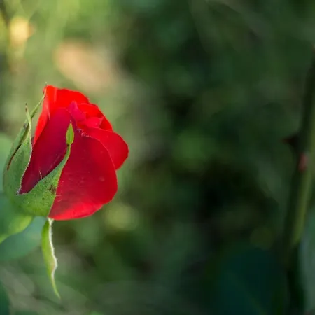 Σπίτι διακοπών Borgo Risi